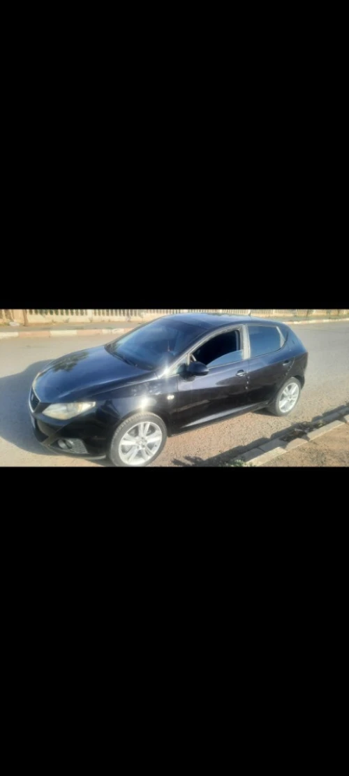 Seat Ibiza 2010 Loca