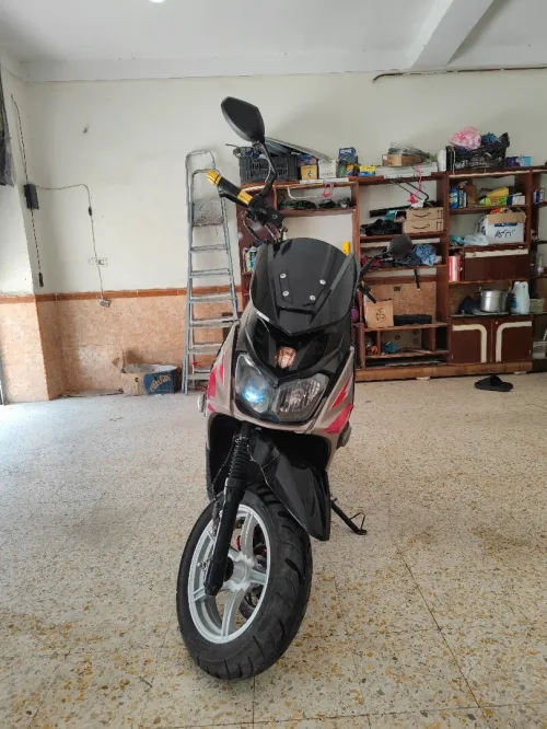 Gevatti Scoop 2019