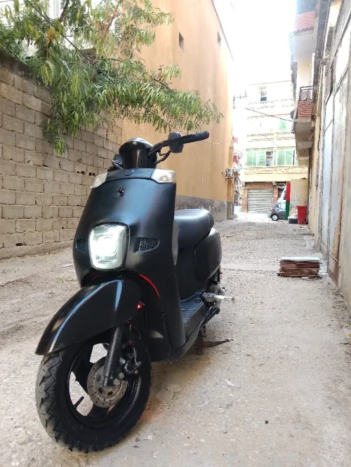 Cuxi Vms 2019
