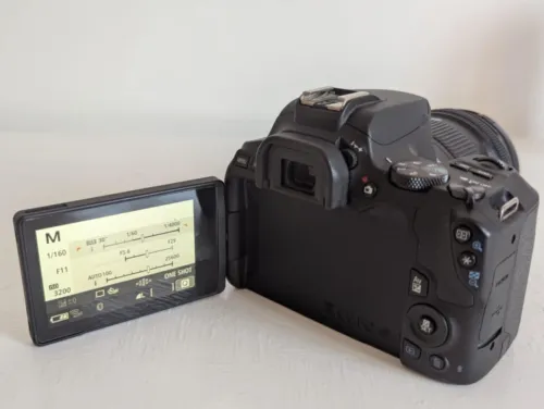 Canon EOS 250D avec deux objectifs + accessoires 