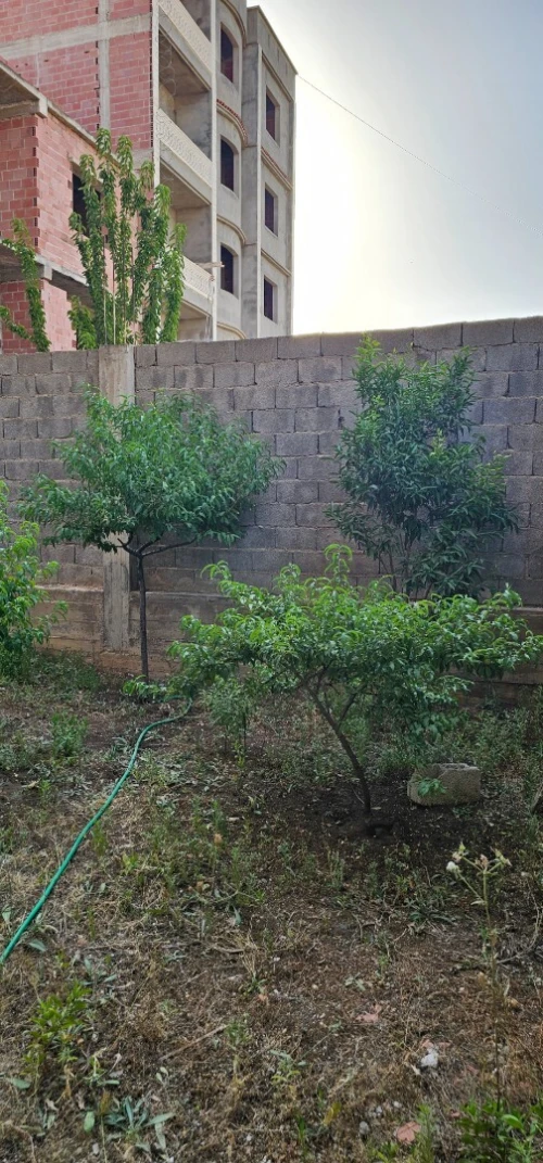 Vente Villa Constantine Constantine