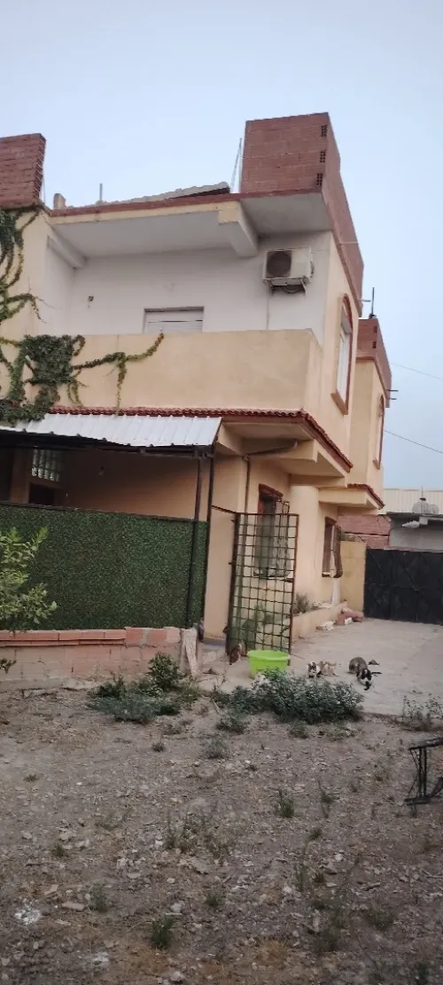 Vente Villa Blida Ouled el alleug