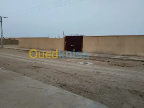 Vente Hangar Biskra Biskra