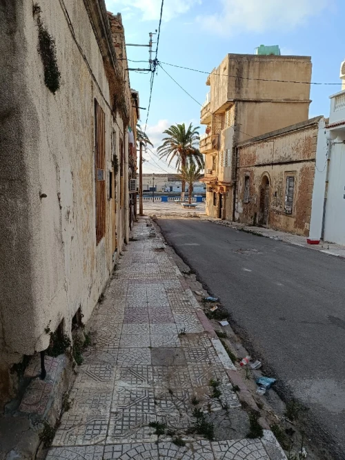 Vente Villa El Tarf El kala