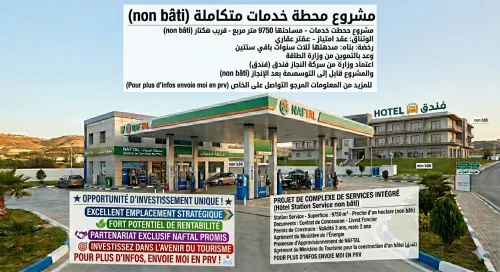 Vente Terrain Djelfa Ain oussara