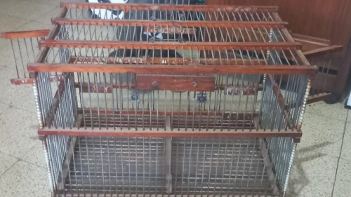 Cage oiseau couplage
