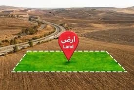 Vente Terrain Blida Blida