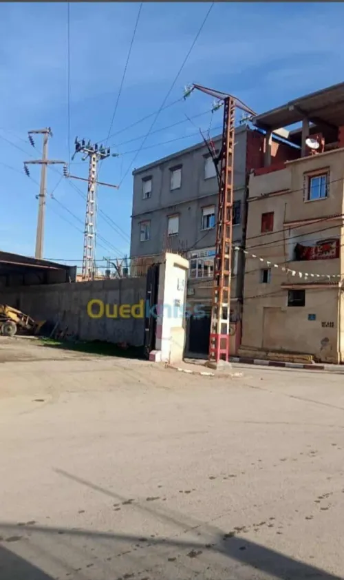 Location Terrain Blida Soumaa