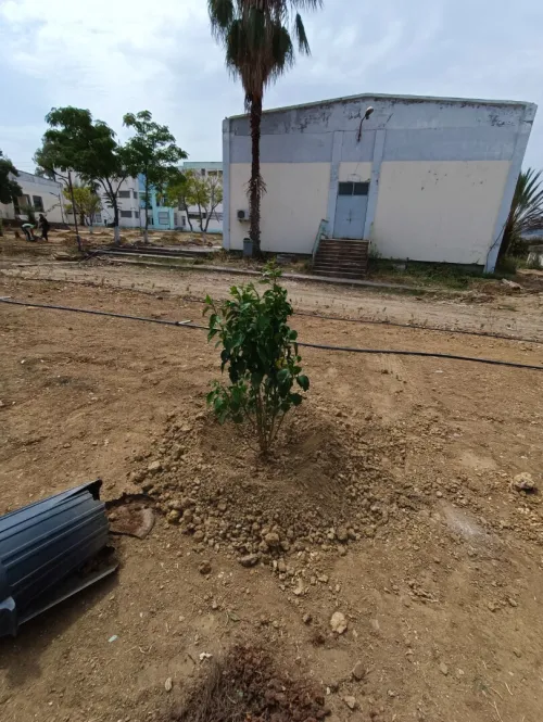 Aménagement des espaces verts