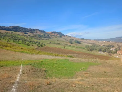 Vente Terrain Médéa Medea