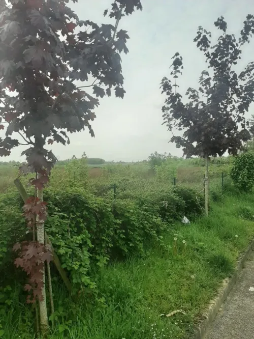 Location Terrain Agricole Ain Ain