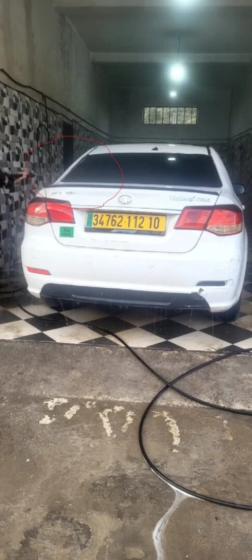Great Wall C30 2012 voleex
