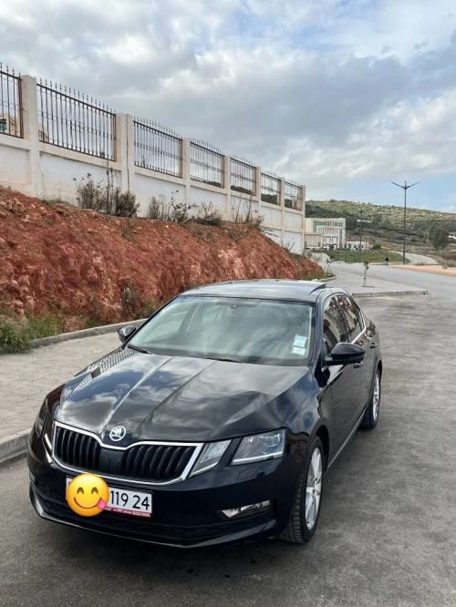Skoda Octavia 2019 Clever