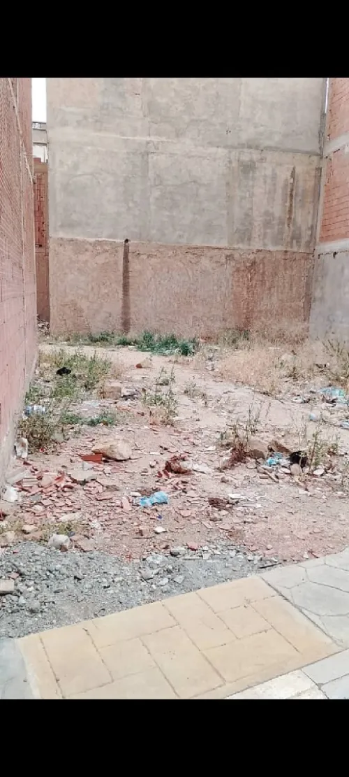 Vente Terrain Saïda Ain el hadjar