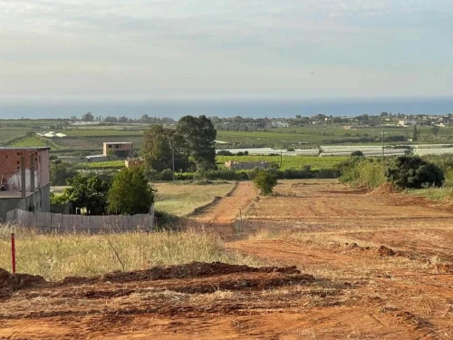 Vente Terrain Boumerdès Zemmouri 4