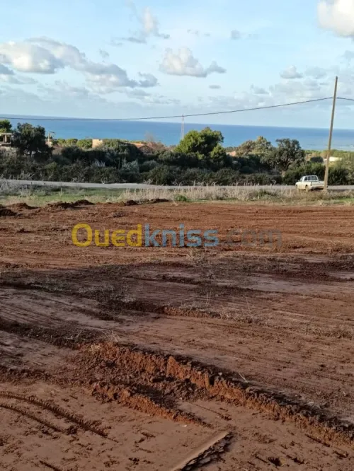 Vente Terrain Boumerdès Zemmouri
