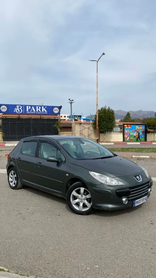 Peugeot 307 2007 Oxygo