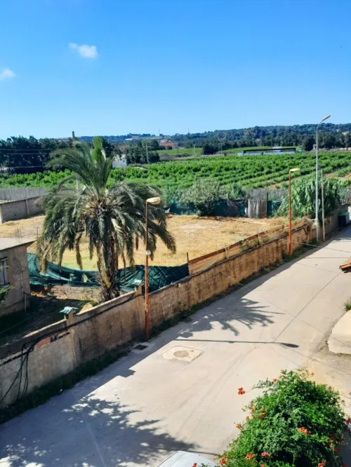 Vente Terrain Alger Rouiba