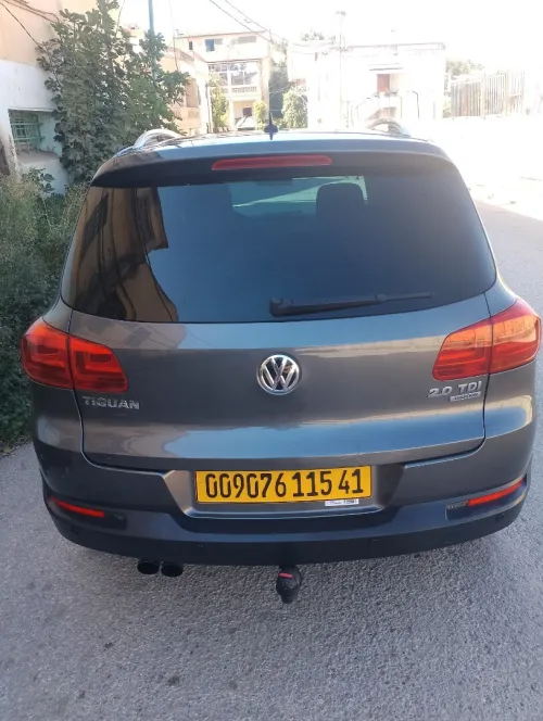 Volkswagen Tiguan 2015 Cup