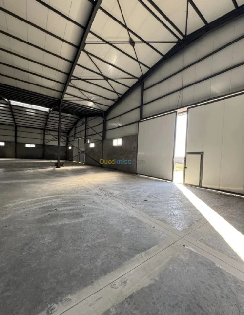 Location Hangar - Usine Sétif Mezloug
