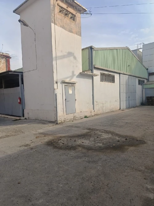 Location Hangar - Usine Blida Blida