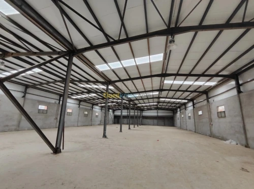 Location Hangar - Usine Blida Ouled selama
