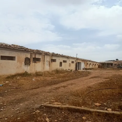 Location Hangar Sidi Bel Abbès Amarnas
