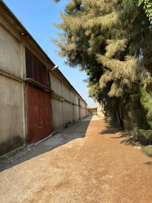 Location bien immobilier Blida Guerrouaou