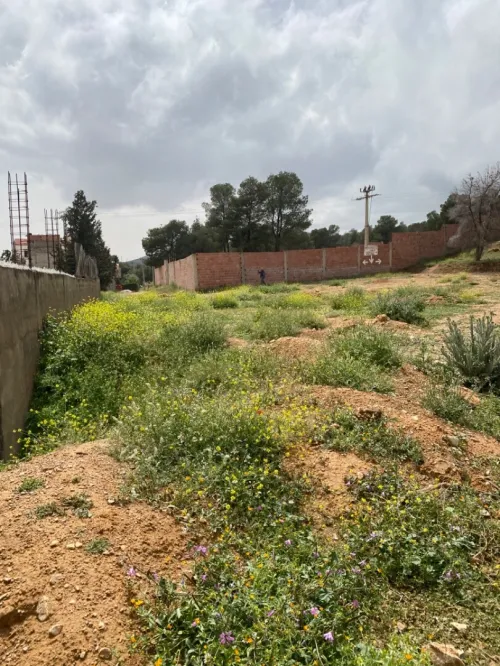 Vente Terrain Batna Fesdis