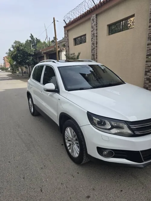 Volkswagen Tiguan 2015 cup