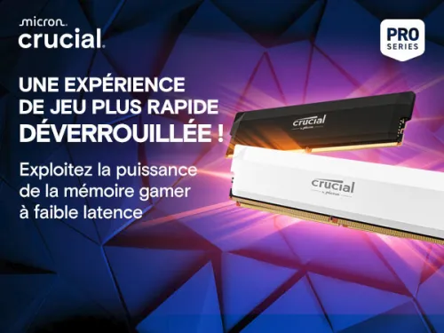 Crucial Pro RAM DDR5 32Go (2x16Go) 6000MHz CL36