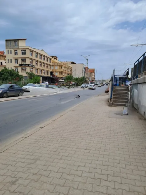 Location Local Alger Bordj el kiffan
