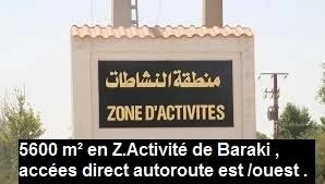 Vente Terrain Alger Baraki