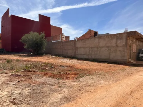 Vente Terrain Tlemcen Tlemcen