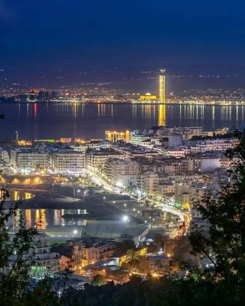 Location Local Alger Alger centre
