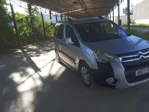 Citroen Berlingo 2009 Berlingo