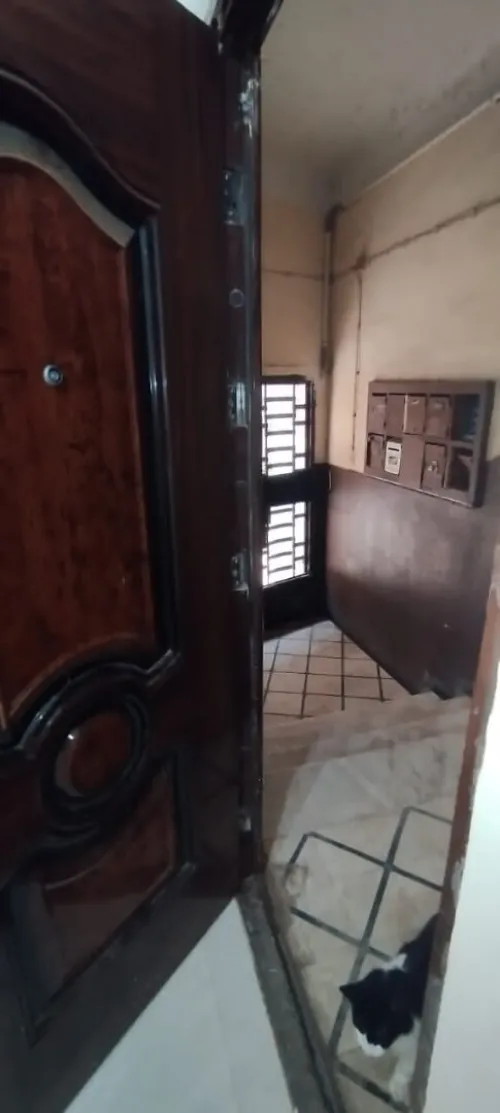 Location Appartement F2 Alger Alger centre