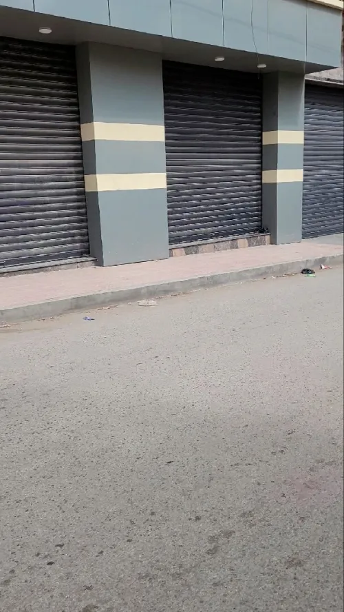 Location Local Tipaza Kolea