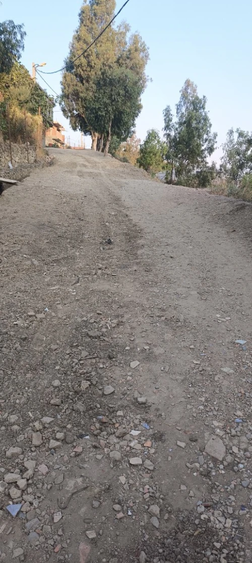 Vente Terrain Blida Bouarfa