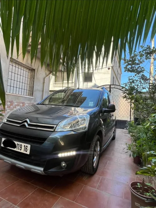 Citroen Berlingo Multispace 2019 Berlingo Multispace