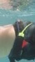 ÉLASTIQUE DE NAGE NATATION STATIQUE PISCINE Decathlon