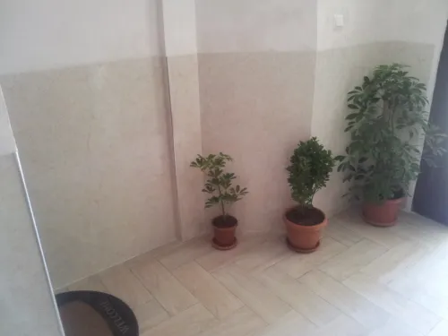 Location Appartement Niveau de villa F3 Alger Cheraga
