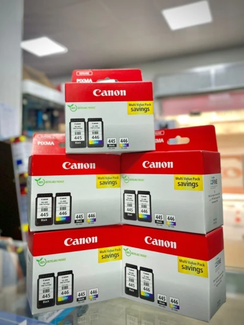 PACK CARTOUCHE CANON COULEUR ORIGINAL PG445/CL446 MG2440/MG2540S