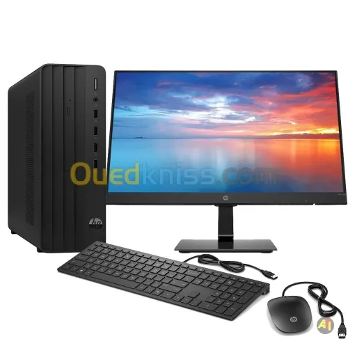 DESKTOP HP 290 G9 PROCESSEUR I3-12500 RAM 4G HDD 1TO/ECRAN 22"