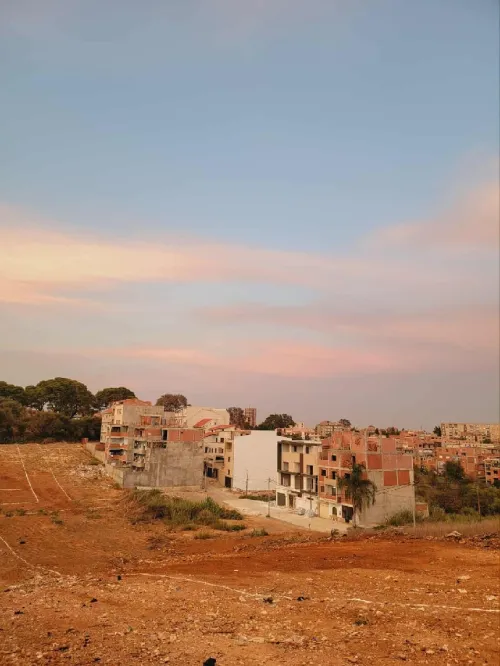 Vente Terrain Alger Saoula