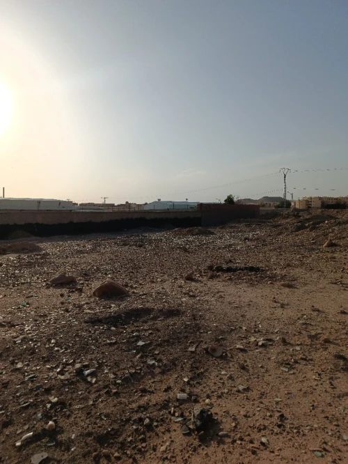Vente Terrain Biskra Biskra