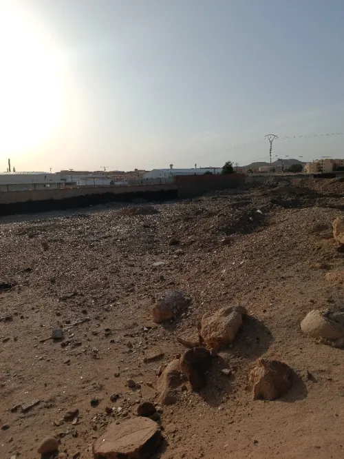 Vente Terrain Biskra Biskra