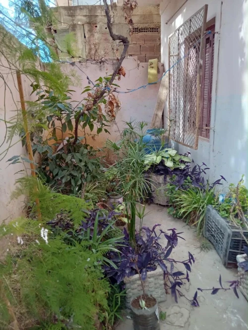 Vente Villa Aïn Defla Khemis miliana