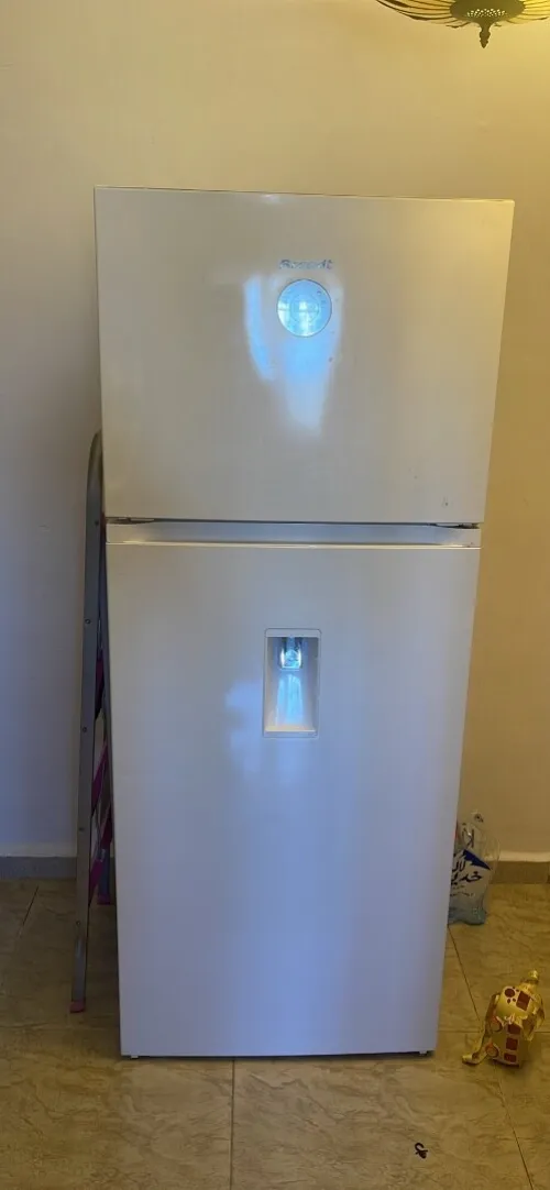 frigidaire Brandt 490L