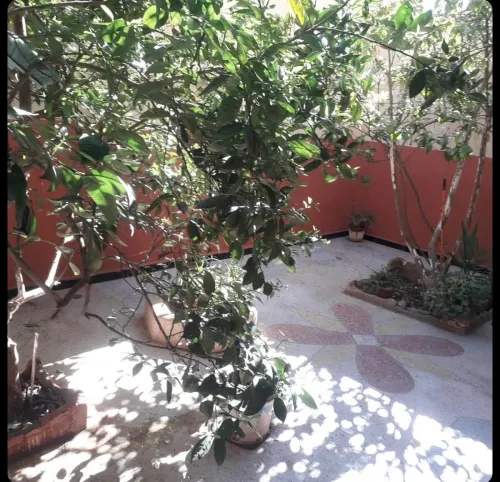 Vente Villa Oran Boutlelis
